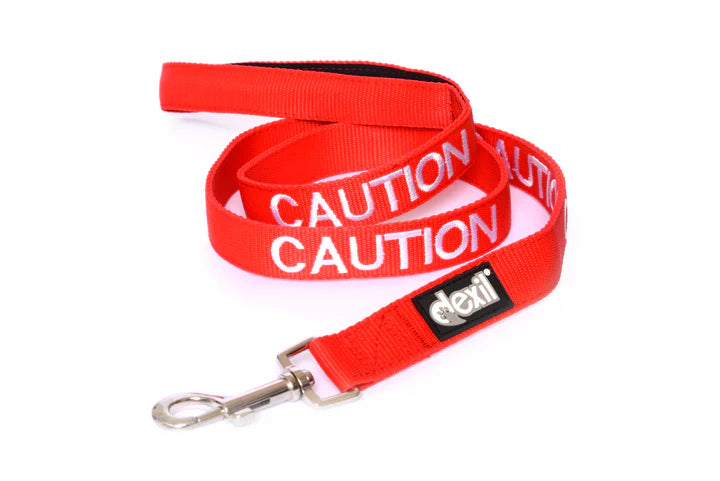 Cheap dog leads and collars best sale