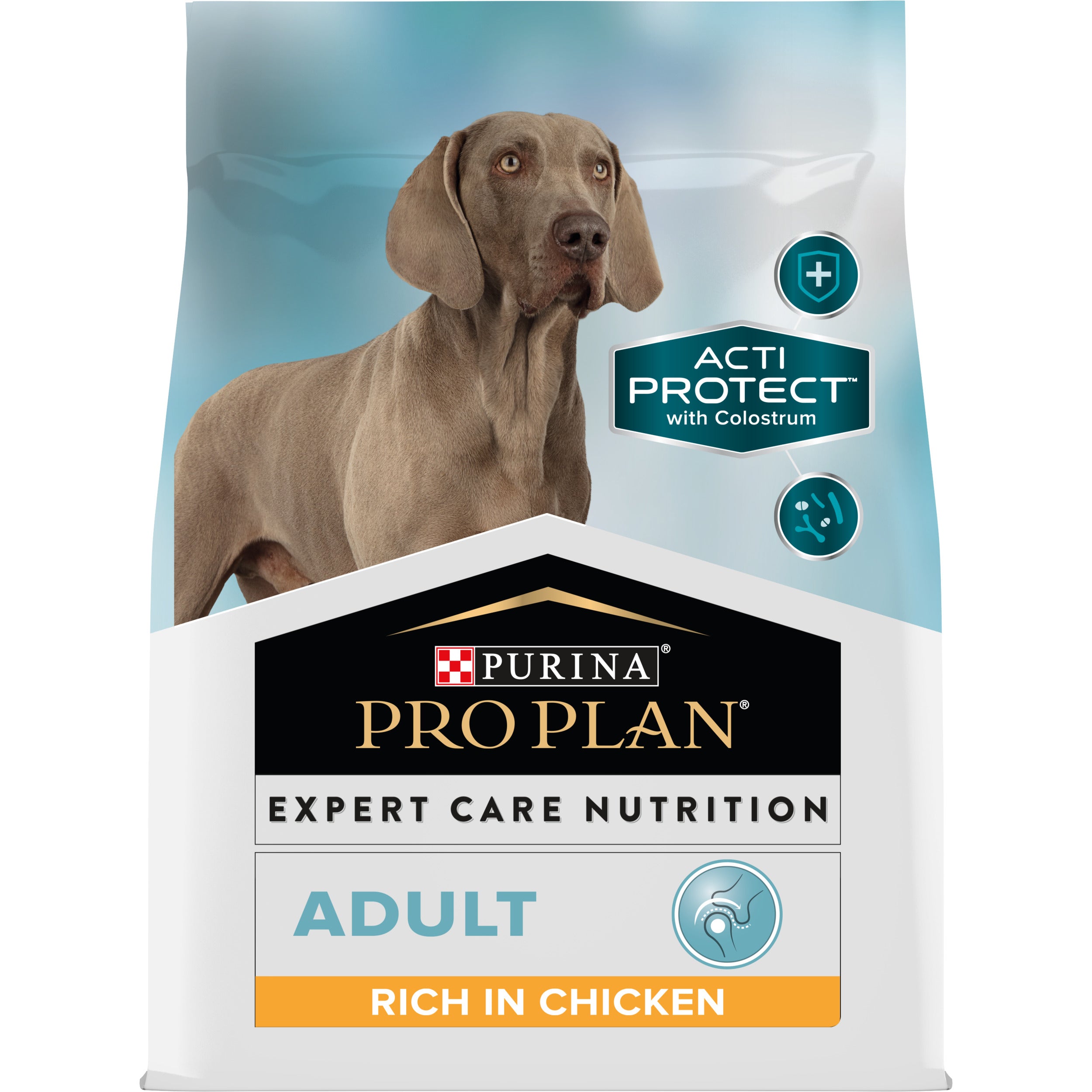 Pro plan dog food chicken and rice hotsell