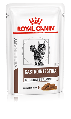 Gastro intestinal dog food hotsell