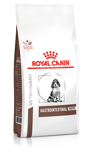 Royal shops canin intestinal puppy