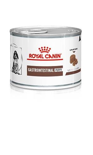 ROYAL CANIN Gastrointestinal Puppy Wet Dog Food