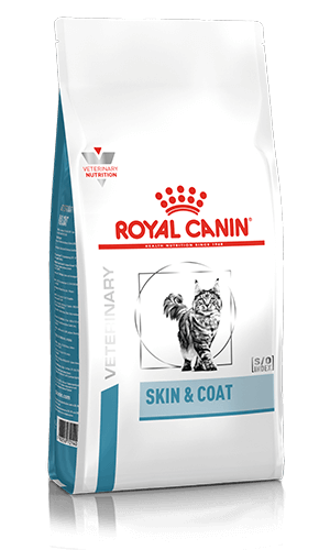 Cat food for dry skin best sale