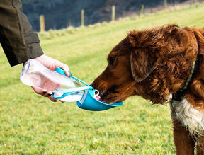 Henry Wag Water Bottle With Leaf Bowl Blue