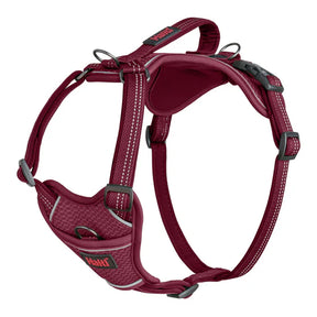 Halti Anatomy Harness Magenta (5 sizes)