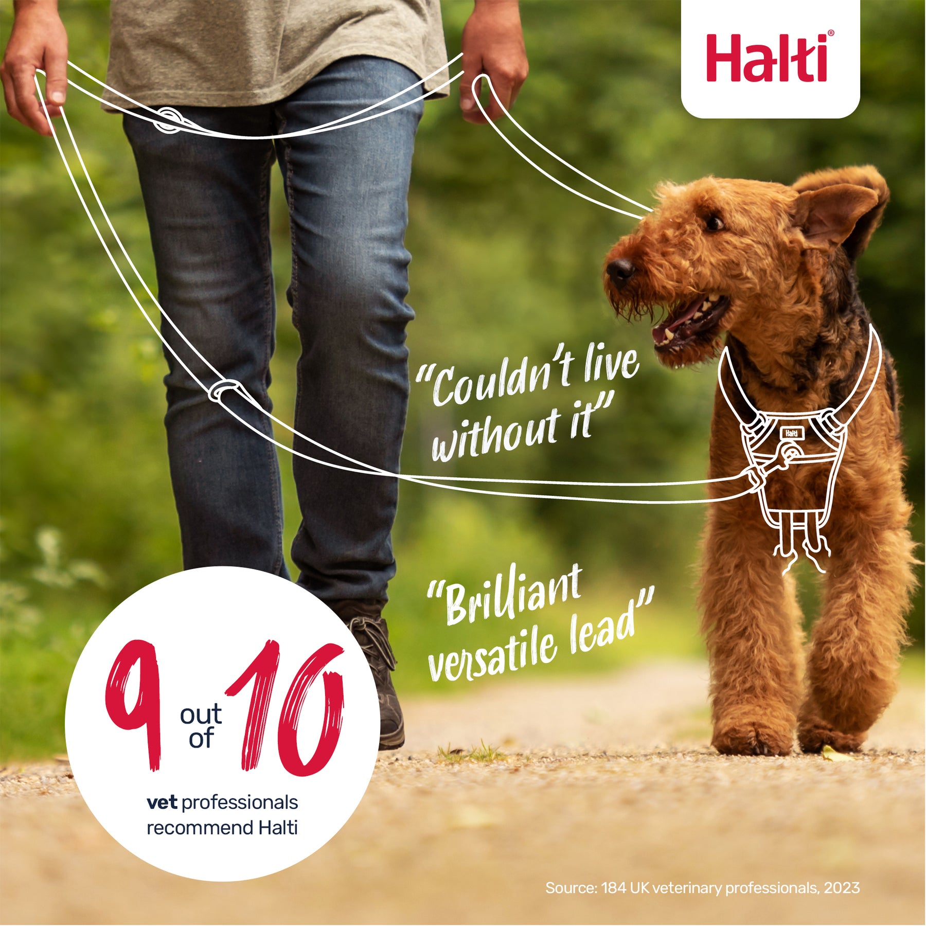 Halti Training Dog Lead (2 sizes/ 2 colours)