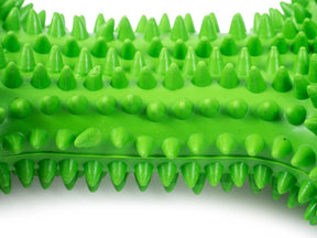 Petface Toyz Treat Bone Dog Toy