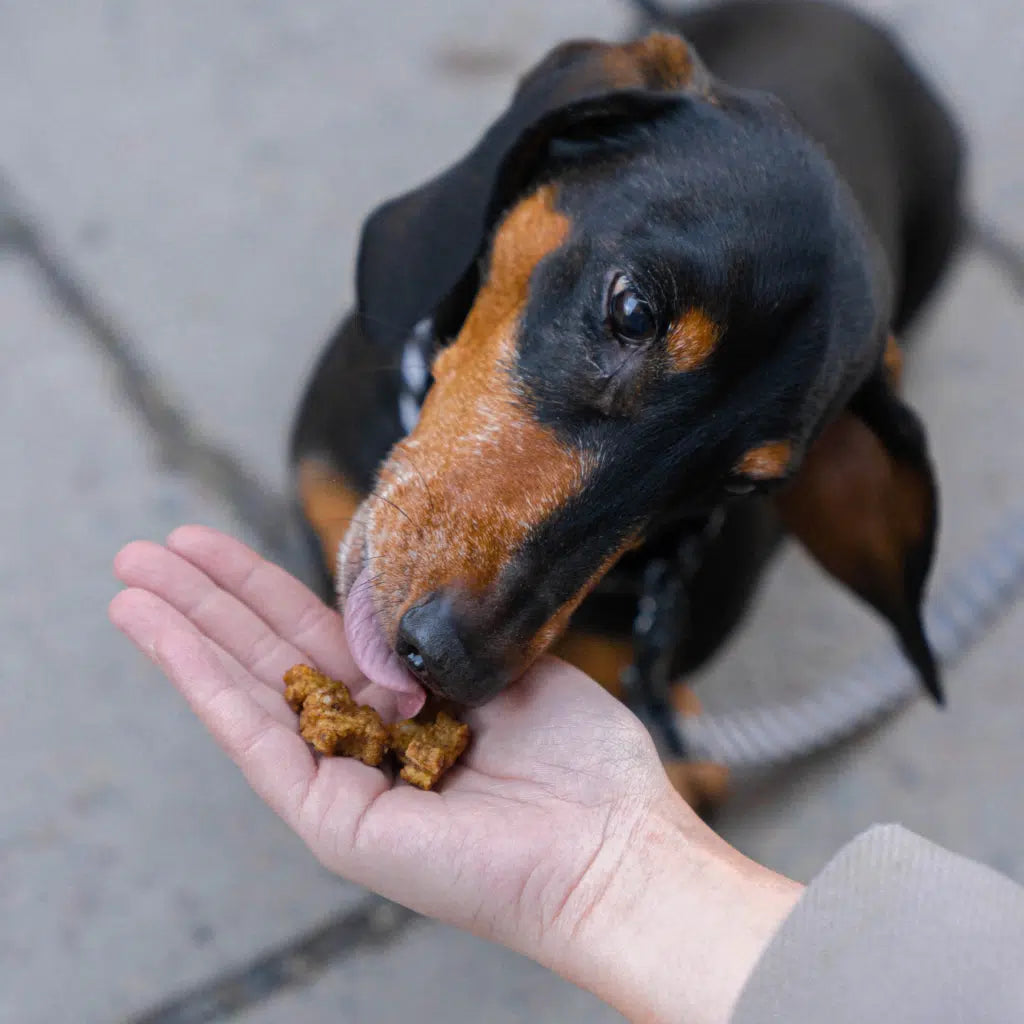 Buddy Beef Training Snacks 100g