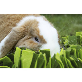 Snuffle Forage Mat Small Animal