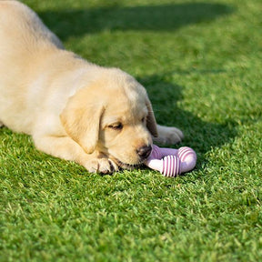 Rosewood Cyber Puppy Teether Shapes