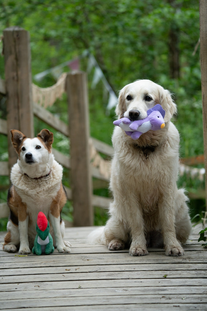 Petface Baby Dino Plush Dog Toys Assorted