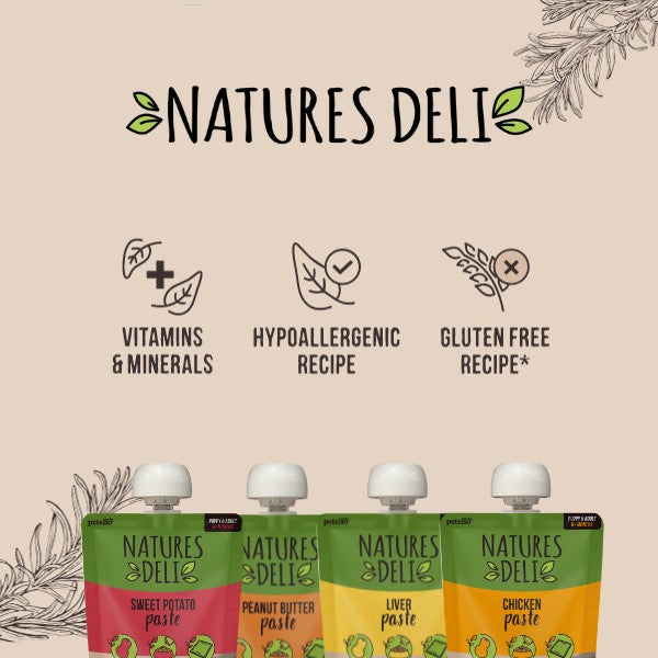 Natures Deli Chicken Paste Pouch