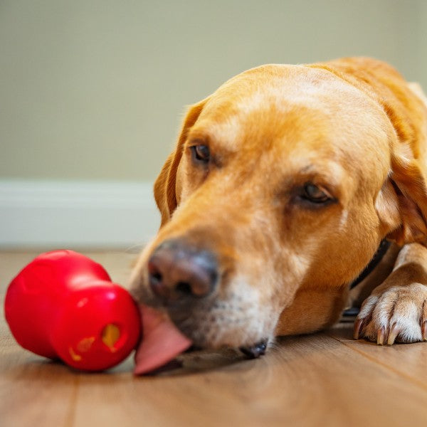 Potato dog toy best sale