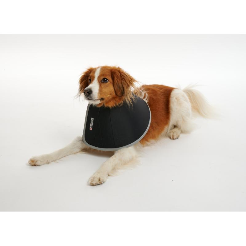 Foam Collar (7 sizes)