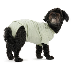 Body Suit Dog Step'n Go Dusty Green (5 sizes)