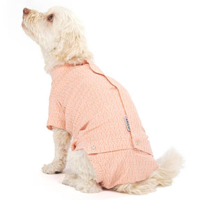 Body Suit Dog Step'n Go Peachy Orange (5 sizes)