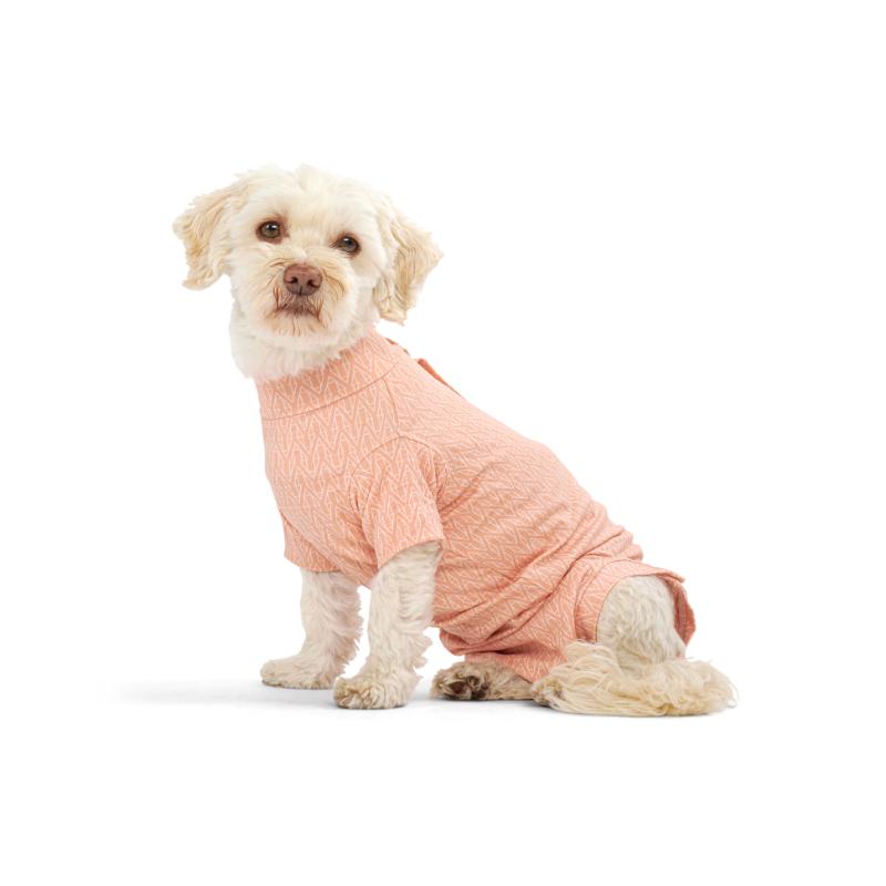 Body Suit Dog Step'n Go Peachy Orange (5 sizes)