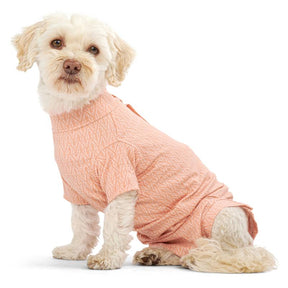 Body Suit Dog Step'n Go Peachy Orange (5 sizes)