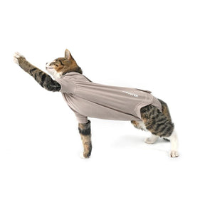 Body Suit Cat Step'n Go (4 sizes)