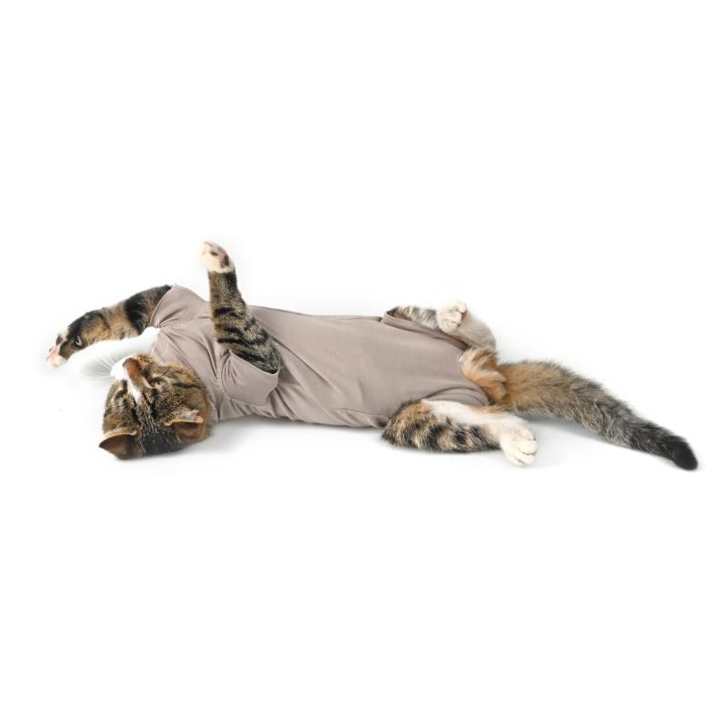 Body Suit Cat Step'n Go (4 sizes)