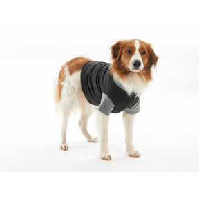 Body Suit Easygo Dogs Black/Grey (9 sizes)