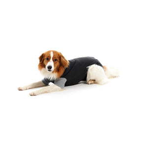 Body Suit Classic Dog Black/Grey (9 sizes)