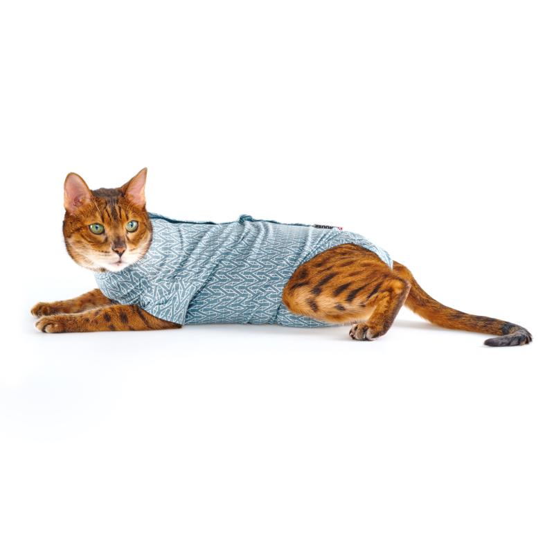 Body Suit Cat Step'n Go Blue (4 sizes)