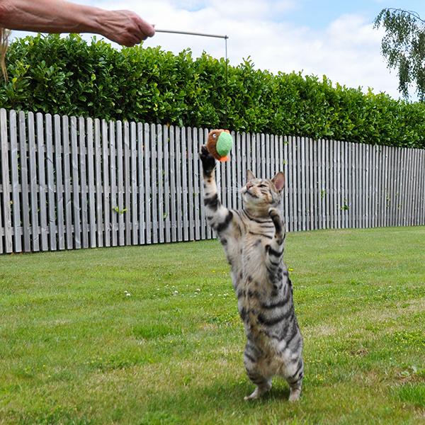 Little Nippers Flippy Fish Kitten Toy