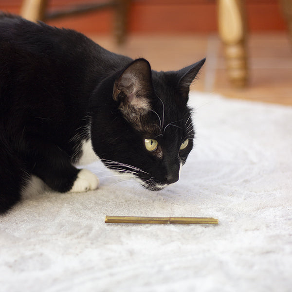 Cat Naturals Catnip Sticks