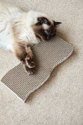 Petface Catkins Cardboard Wave Cat Scratcher