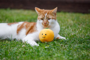 Petface Orange Plush Cat Toy