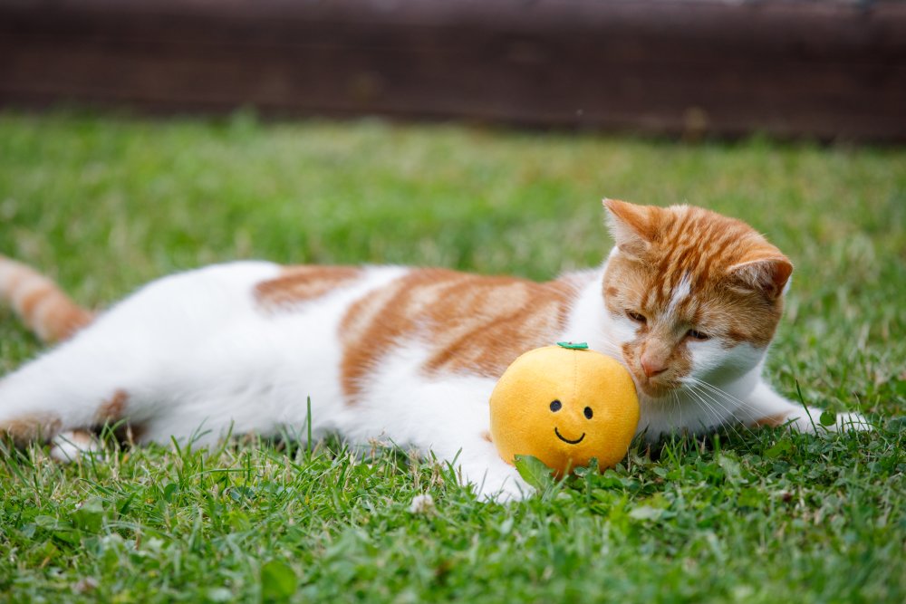 Petface Orange Plush Cat Toy