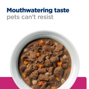 Hills Dog Gastro Biome Digestive Care Stew