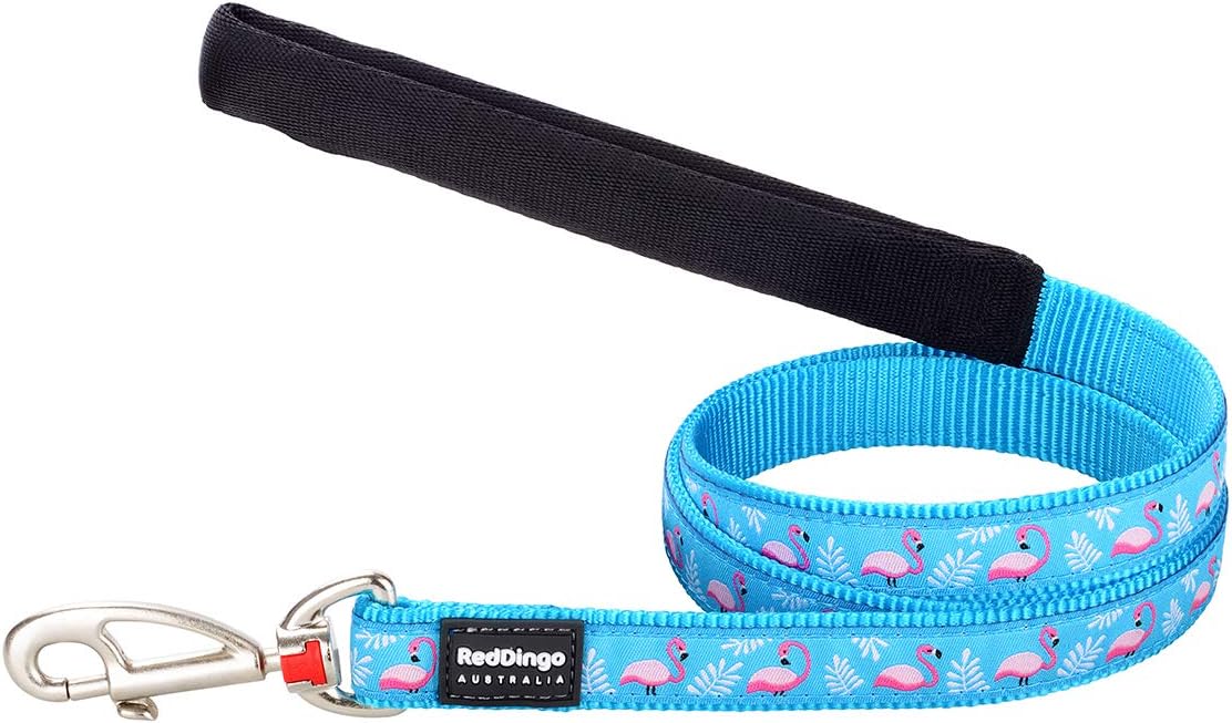 Red Dingo Turquoise Flamingo Dog Lead