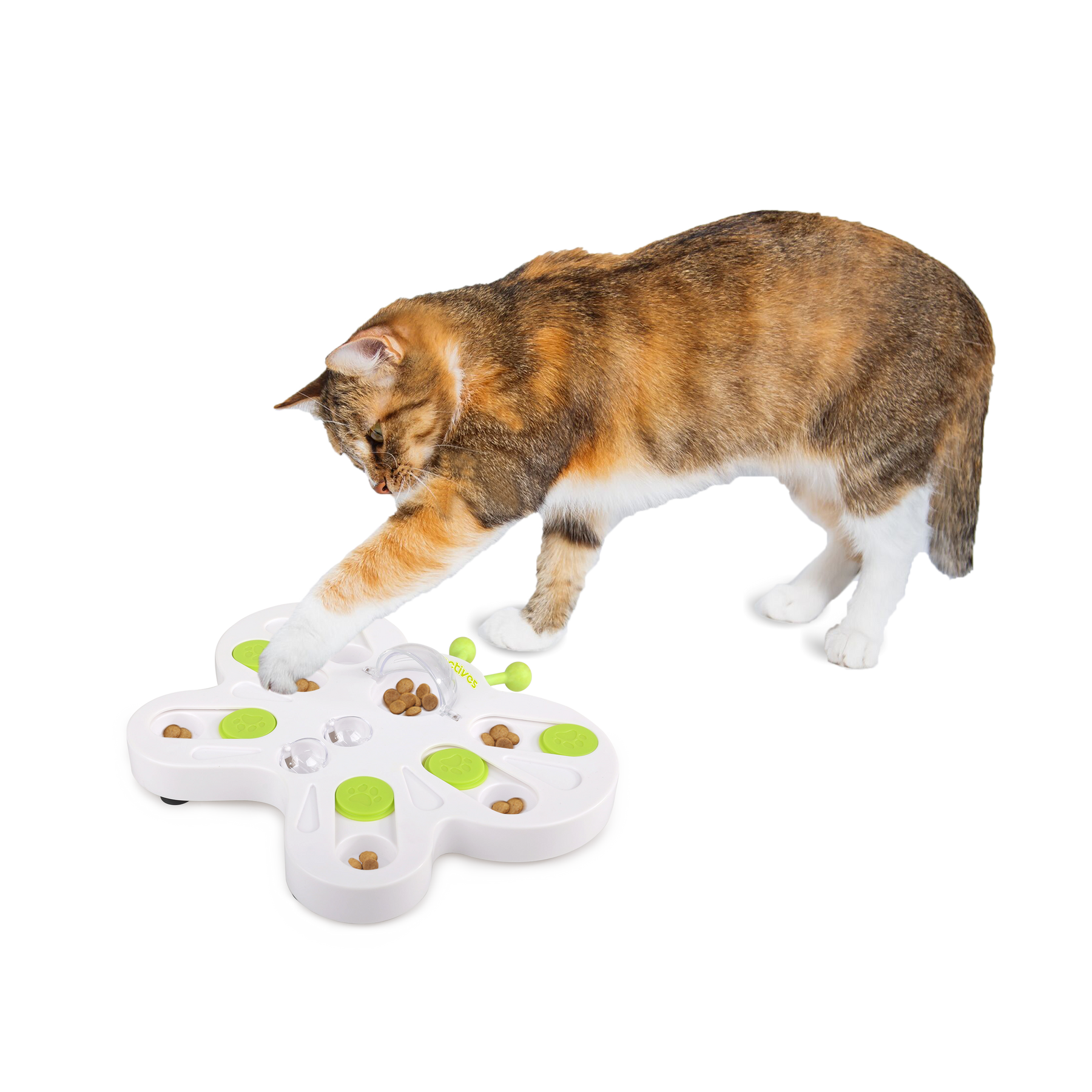 All For Paws Cat Treat Puzzle Butterfly