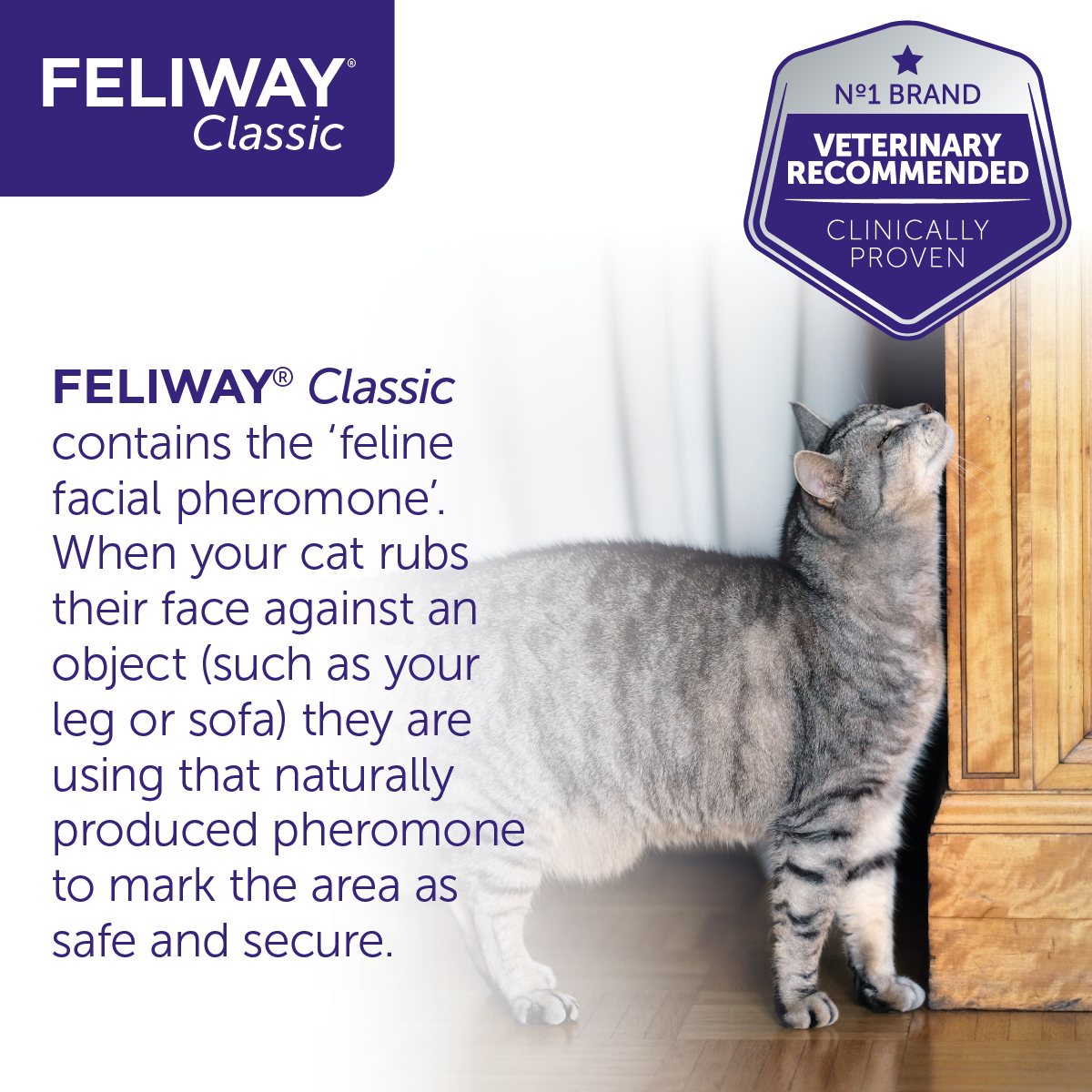 Feliway Classic 30-Day Refill for Diffuser (3 Pack)