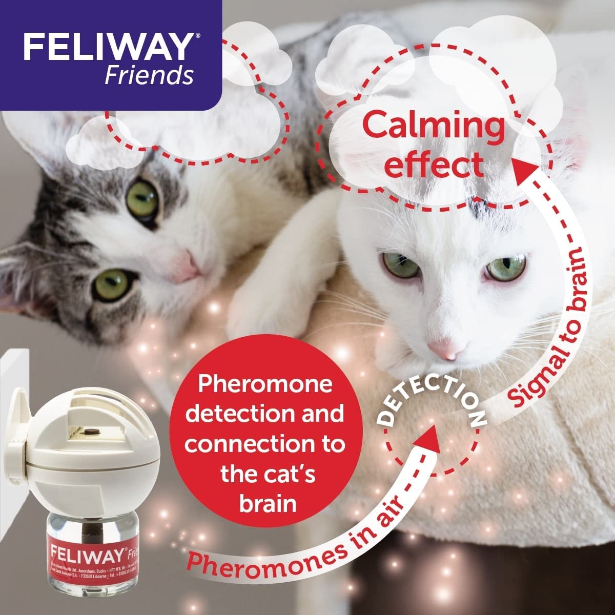 Feliway Friends Diffuser & Refill