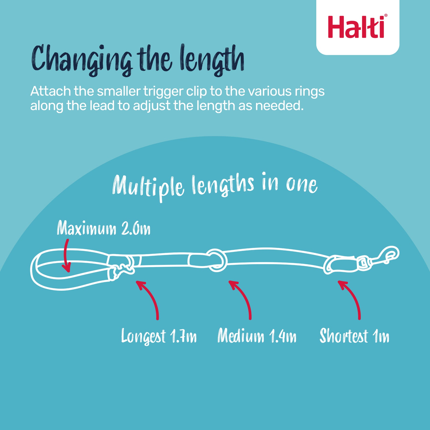 Halti Training Dog Lead (2 sizes/ 2 colours)