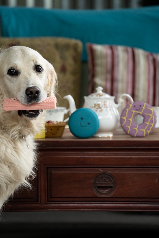 Petface Afternoon Tea Pink Wafer Dog Toy