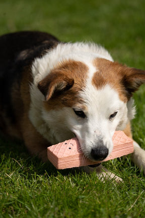 Petface Afternoon Tea Pink Wafer Dog Toy