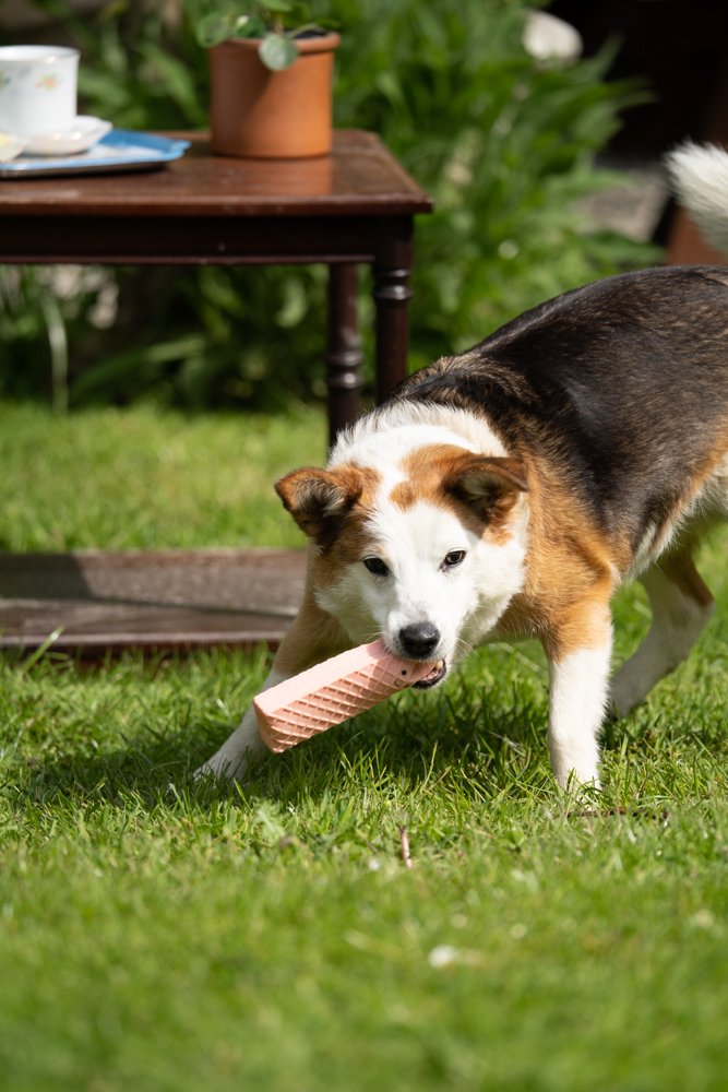 Petface Afternoon Tea Pink Wafer Dog Toy