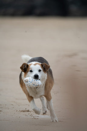 Petface Mighty Rugby Ball