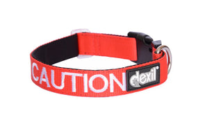 "Caution" Dog Collar by Friendly Dog Collars