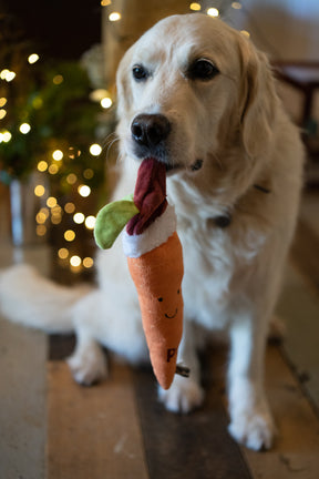 Petface Carter Carrot Plush Dog Toy