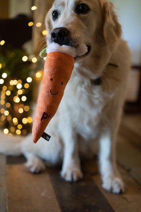 Petface Carter Carrot Plush Dog Toy