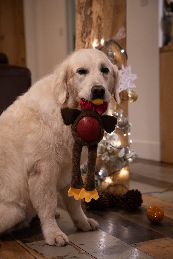 Petface Roxie Rubber Tum Turkey Plush Dog Toy