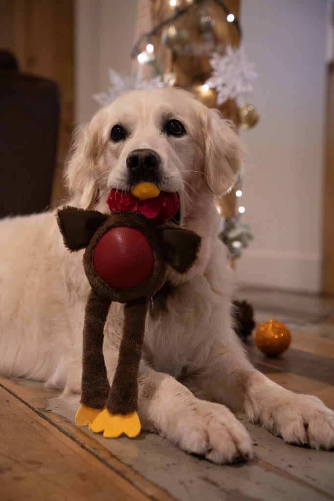 Petface Roxie Rubber Tum Turkey Plush Dog Toy