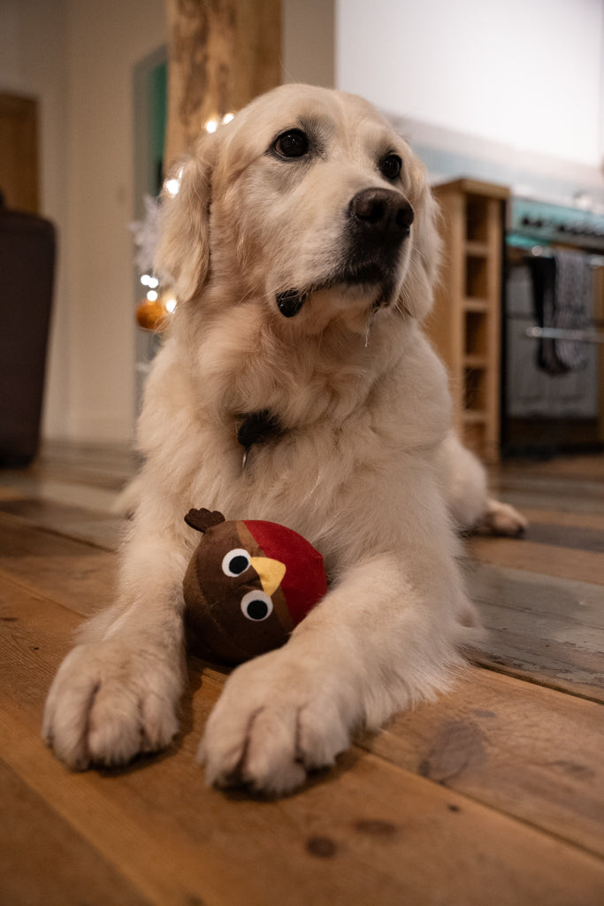 Petface Ralph Robin Squeak Ball Plush Dog Toy