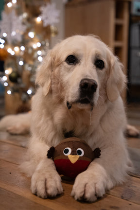 Petface Ralph Robin Squeak Ball Plush Dog Toy