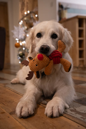 Petface Riley Reindeer Rope Ball Plush Dog Toy