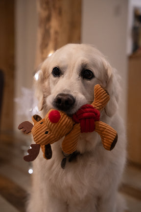 Petface Riley Reindeer Rope Ball Plush Dog Toy